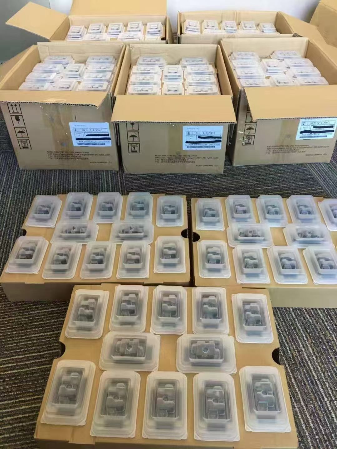 Cardboard boxes filled with clear plastic containers, each holding small items, displayed on a carpeted floor.